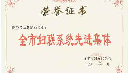 喜報(bào)！興業(yè)集團(tuán)婦委會(huì)榮獲“全市婦聯(lián)系統(tǒng)先進(jìn)集體”榮譽(yù)稱號(hào)