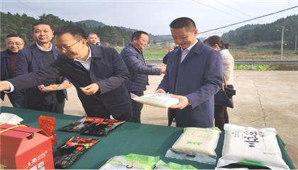 市委常委、政法委書記劉波濤帶隊調(diào)研指導(dǎo)定點(diǎn)幫扶村鄉(xiāng)村振興工作